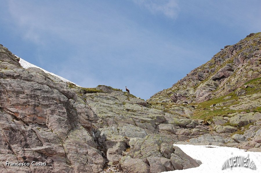 11 Incontro sotto al Tonale.jpg